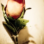soledad