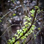 naturaleza