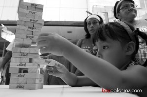 Construyendo Democracia