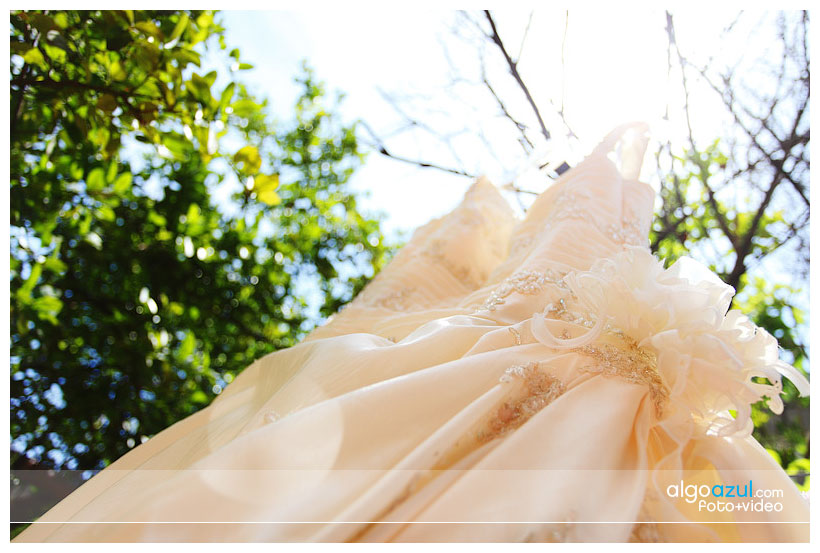 All content Copyright © Beto Palacios Blog.