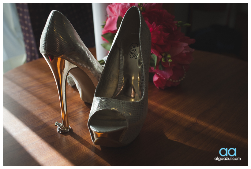 Fotos de Boda en Monterrey algoazul