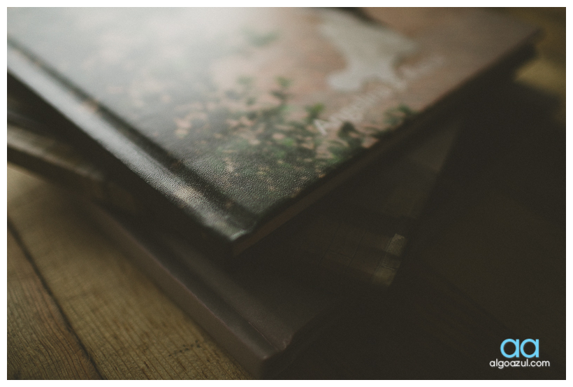 photobook, album de fotos boda, algoazul
